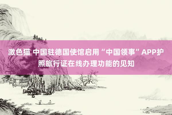 激色猫 中国驻德国使馆启用“中国领事”APP护照旅行证在线办理功能的见知