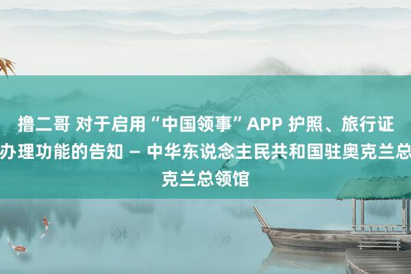 撸二哥 对于启用“中国领事”APP 护照、旅行证在线办理功能的告知 — 中华东说念主民共和国驻奥克兰总领馆