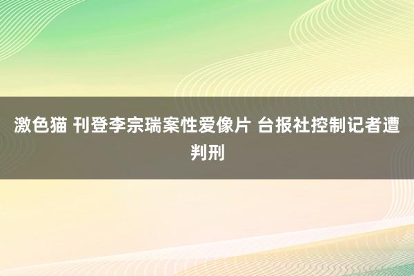 激色猫 刊登李宗瑞案性爱像片 台报社控制记者遭判刑