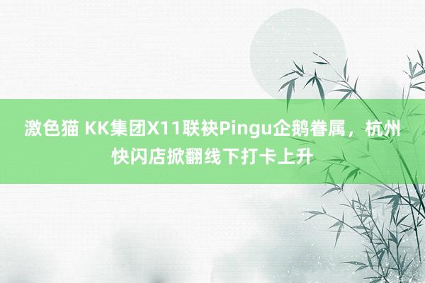 激色猫 KK集团X11联袂Pingu企鹅眷属，杭州快闪店掀翻线下打卡上升