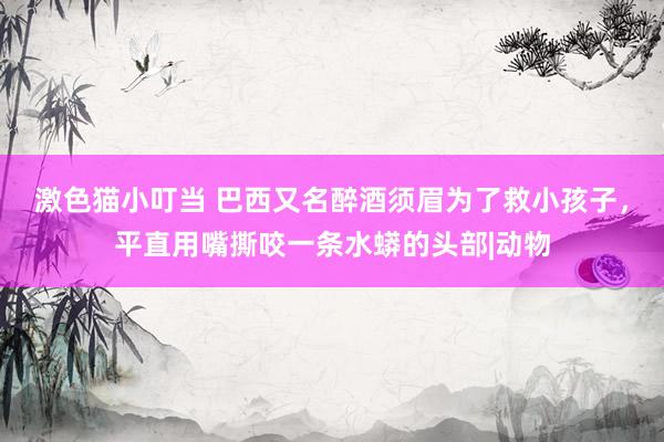 激色猫小叮当 巴西又名醉酒须眉为了救小孩子，平直用嘴撕咬一条水蟒的头部|动物