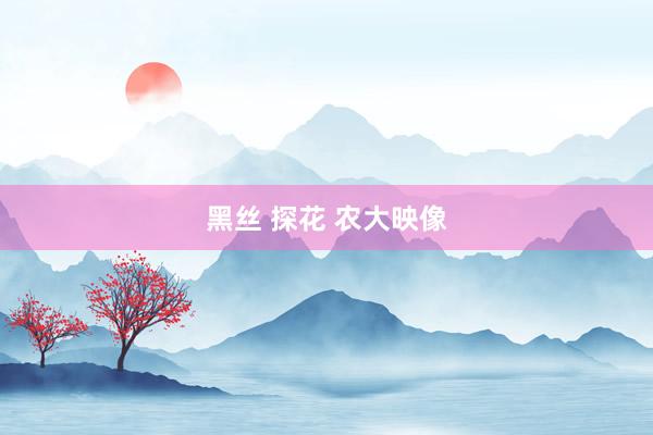 黑丝 探花 农大映像
