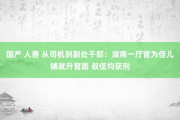 国产 人兽 从司机到副处干部：湖南一厅官为侄儿铺就升官路 叔侄均获刑