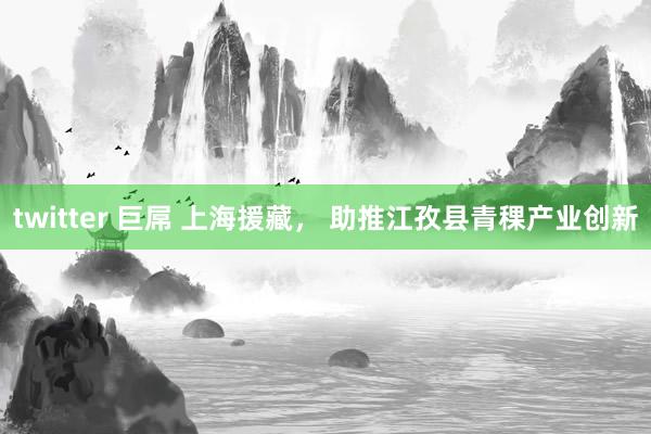 twitter 巨屌 上海援藏， 助推江孜县青稞产业创新