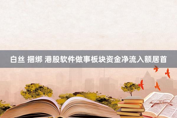 白丝 捆绑 港股软件做事板块资金净流入额居首