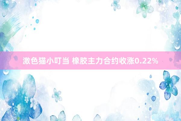 激色猫小叮当 橡胶主力合约收涨0.22%