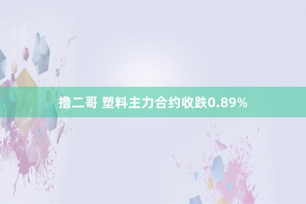 撸二哥 塑料主力合约收跌0.89%