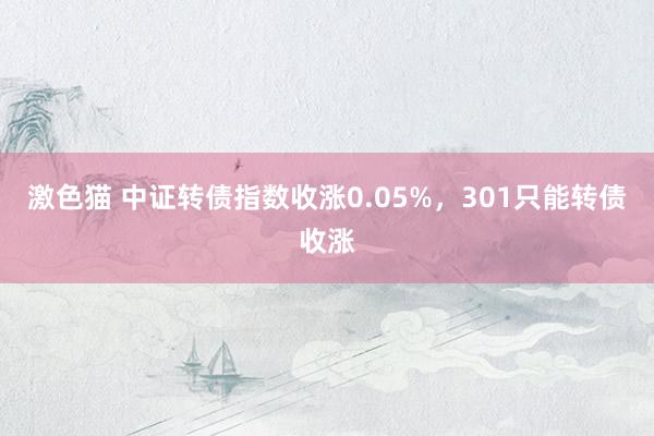 激色猫 中证转债指数收涨0.05%，301只能转债收涨