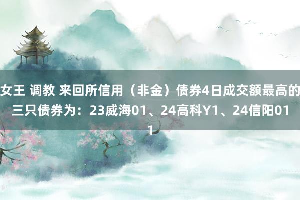 女王 调教 来回所信用（非金）债券4日成交额最高的三只债券为：23威海01、24高科Y1、24信阳01
