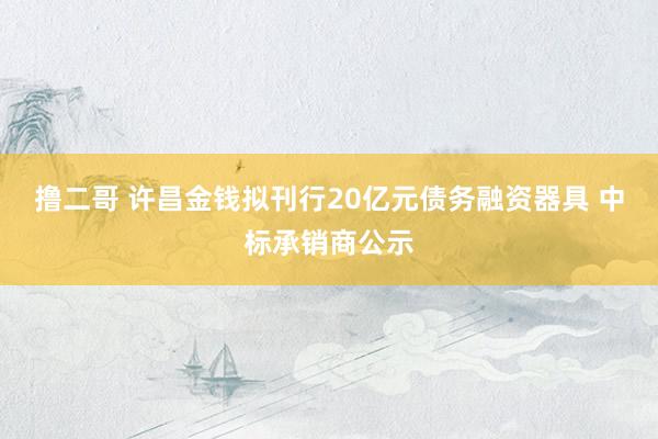 撸二哥 许昌金钱拟刊行20亿元债务融资器具 中标承销商公示