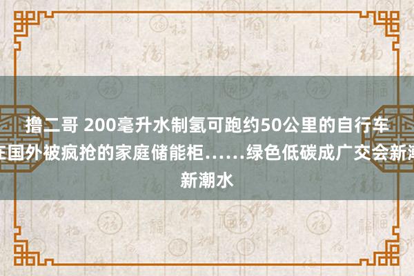 撸二哥 200毫升水制氢可跑约50公里的自行车、在国外被疯抢的家庭储能柜……绿色低碳成广交会新潮水