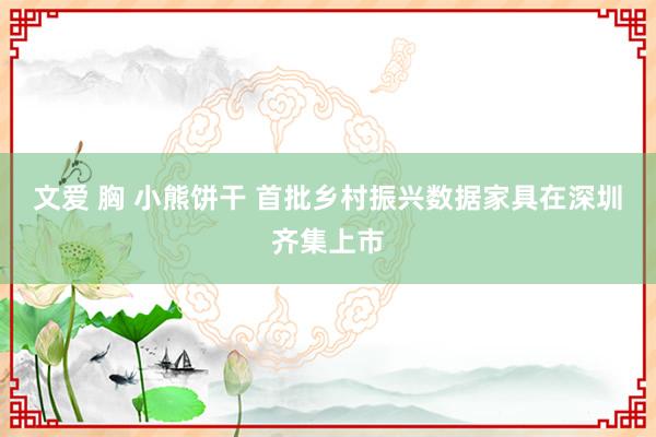 文爱 胸 小熊饼干 首批乡村振兴数据家具在深圳齐集上市