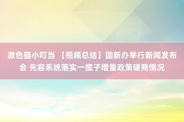 激色猫小叮当 【视频总结】国新办举行新闻发布会 先容系统落实一揽子增量政策磋商情况