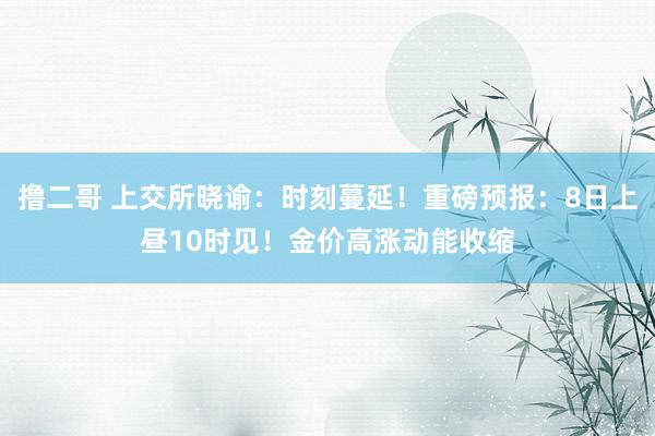 撸二哥 上交所晓谕：时刻蔓延！重磅预报：8日上昼10时见！金价高涨动能收缩