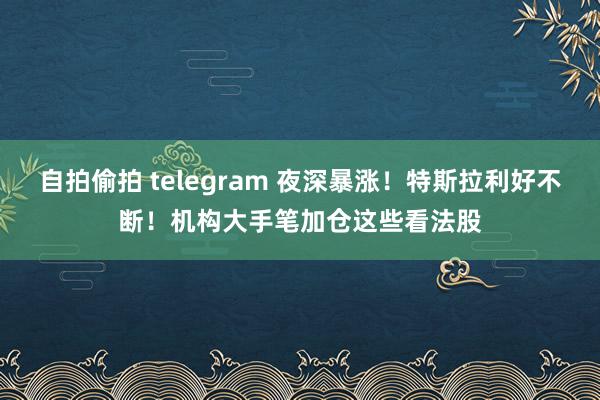 自拍偷拍 telegram 夜深暴涨！特斯拉利好不断！机构大手笔加仓这些看法股