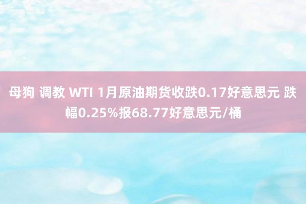 母狗 调教 WTI 1月原油期货收跌0.17好意思元 跌幅0.25%报68.77好意思元/桶