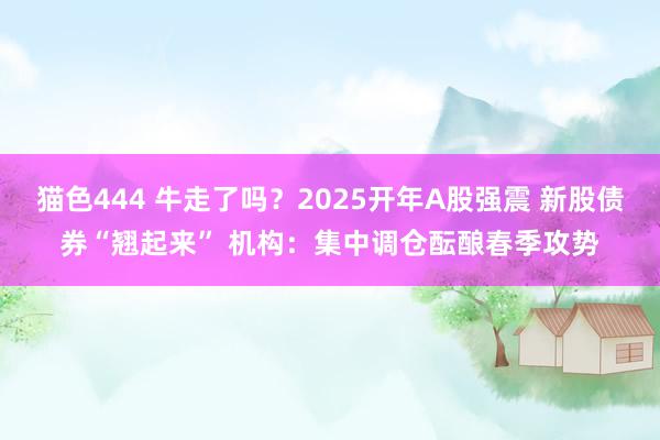 猫色444 牛走了吗？2025开年A股强震 新股债券“翘起来” 机构：集中调仓酝酿春季攻势