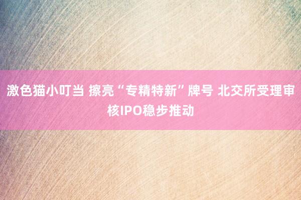 激色猫小叮当 擦亮“专精特新”牌号 北交所受理审核IPO稳步推动
