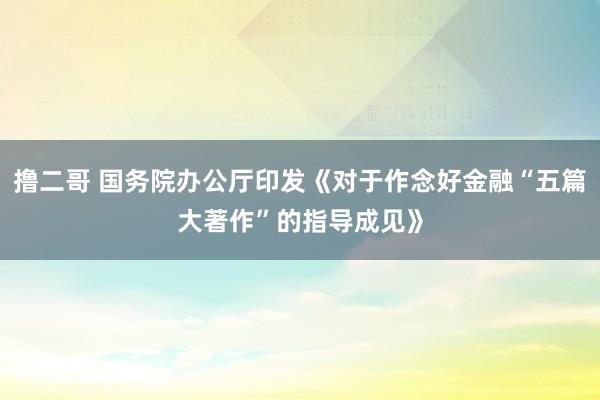 撸二哥 国务院办公厅印发《对于作念好金融“五篇大著作”的指导成见》