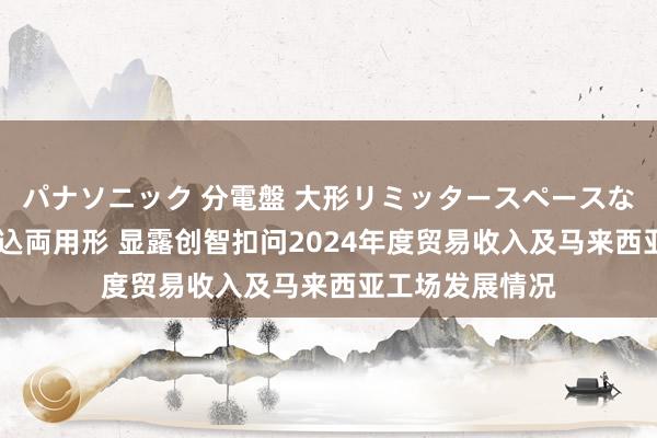 パナソニック 分電盤 大形リミッタースペースなし 露出・半埋込両用形 显露创智扣问2024年度贸易收入及马来西亚工场发展情况
