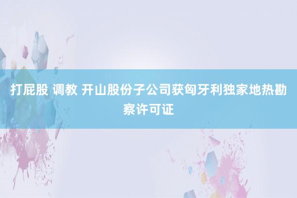 打屁股 调教 开山股份子公司获匈牙利独家地热勘察许可证