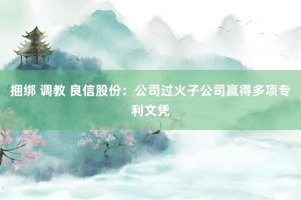 捆绑 调教 良信股份：公司过火子公司赢得多项专利文凭